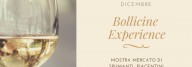 bollicine-experience